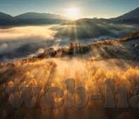 大象传媒2021在线观看-2021年大象传媒在线观看，重塑娱乐体验的数字浪潮