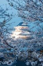 大象传媒 米欧-探索米欧与大象传媒的非凡旅程，创意与责任的交响曲