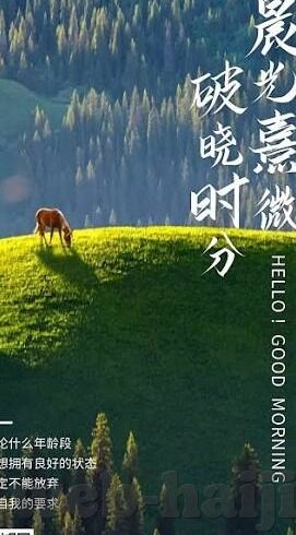大象传媒在线精品-探索大象传媒在线精品，重塑数字娱乐的边界