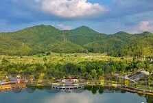 大象视频在线回家地址-探索大象视频的在线回家之旅，解锁家庭娱乐新体验