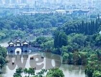 果冻传媒考研的姐姐-考研路上的温暖灯塔——记果冻传媒的考研姐姐