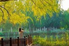 果冻传媒麻豆系列视频压缩-果冻传媒麻豆系列，流行文化下的内容创新与观影体验探秘
