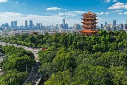 麻豆优选app下载-探索购物新天地，为何选择麻豆优选