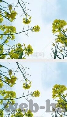日韩_._av天堂-日韩AV天堂，文化交汇与娱乐探索的独特视角