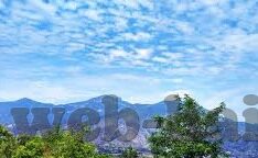 糖心视频app官网入口-正确使用与负责任的访问网络内容